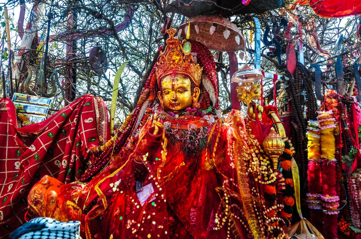 आजको राशिफल बि.सं.२०८१ माघ ३ गते बिहीबार