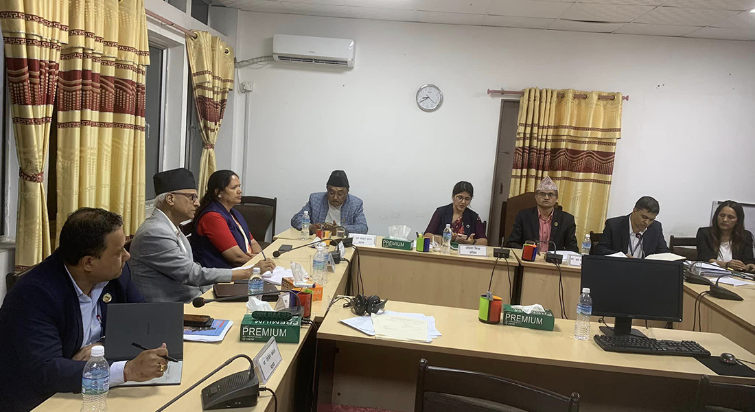 सहकारी छानबिन विशेष समितिले आज रवि लामिछानेसंग सोधपुछ गर्ने