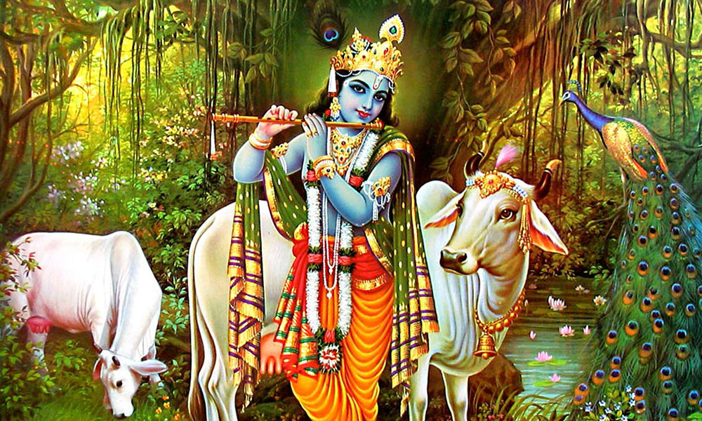 आजको राशिफल बि.सं.२०८१ माघ १६ गते बुधबार