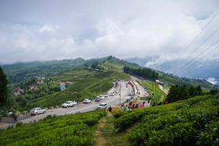 आहा ! धेरै सुन्दर कन्यामका चिया बगान (फोटो फिचर)